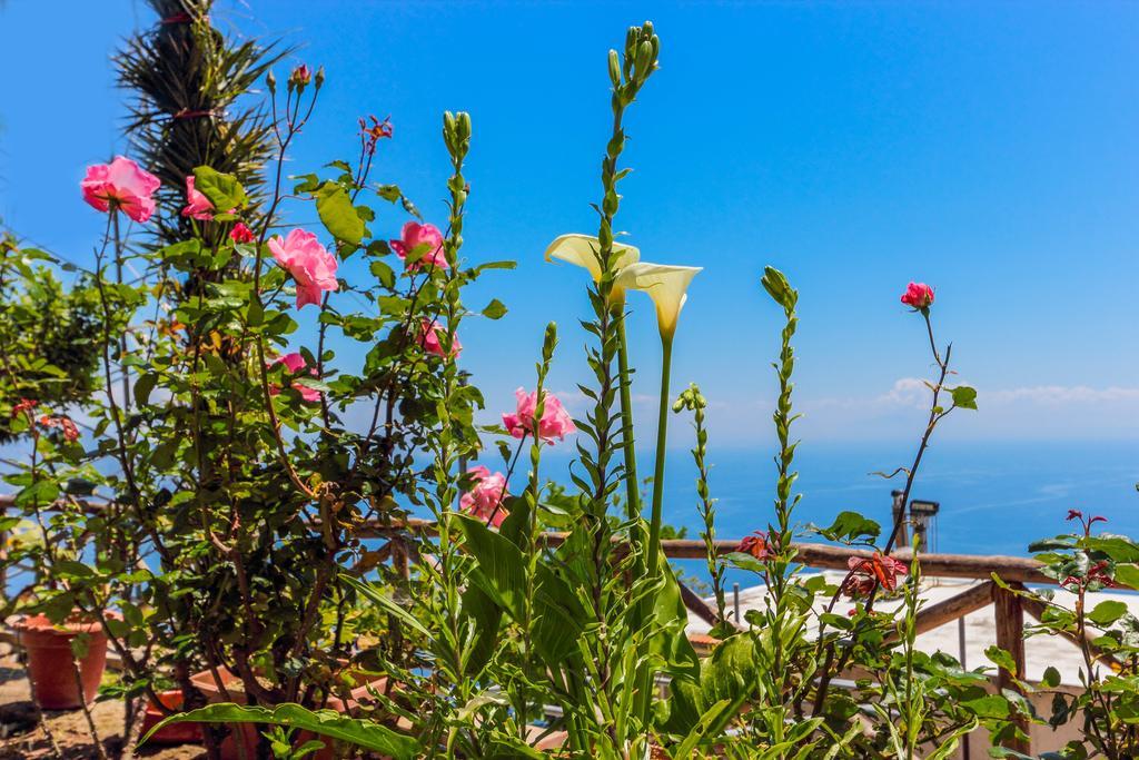 Villa Matilde אמאלפי מראה חיצוני תמונה
