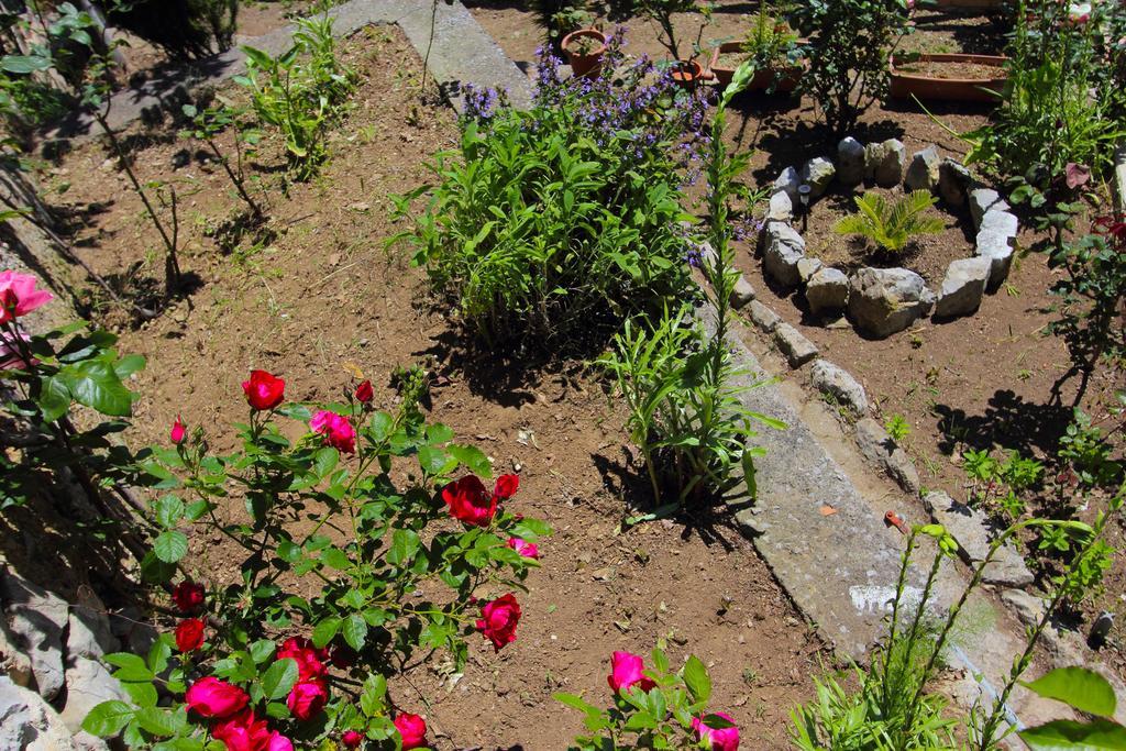 Villa Matilde אמאלפי מראה חיצוני תמונה